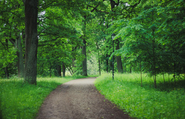 Obraz premium Летний парк