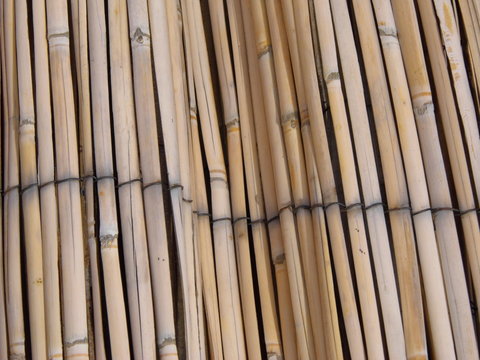 bamb&uacute; textura 