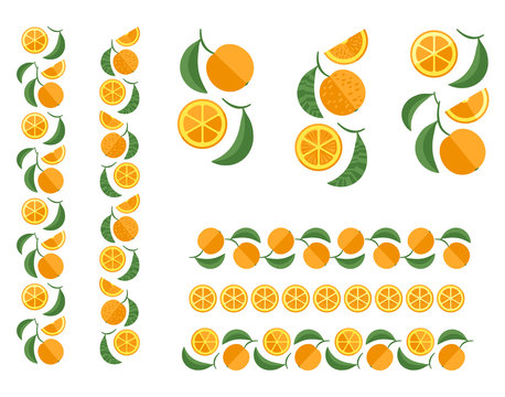 Orange tree branch. Set of fruit colored design ornament elements