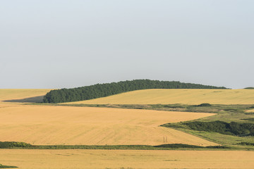 Fototapeta na wymiar harvest of the steppe fields in the summer