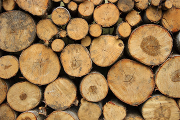 Woodpile in the village near the wall, a lot of wood