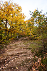 rustic path on a stony mountain at the autumn season