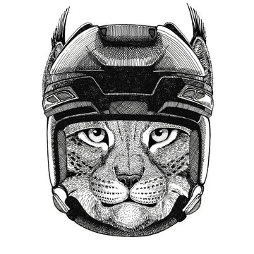 Wild cat Lynx Bobcat Trot Hockey image Wild animal wearing hockey helmet Sport animal Winter sport Hockey sport