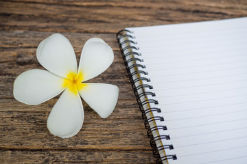 Frangipani flower with notebook on wooden table