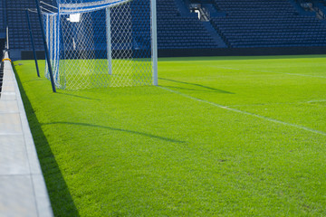 green grass in Stadium 