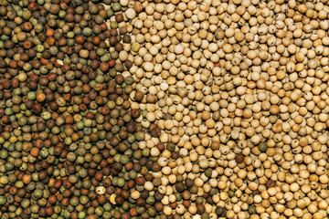 Heap of agricultural crop seed as background