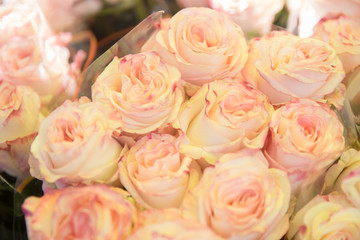 Detail of Beautiful Roses Bouquet