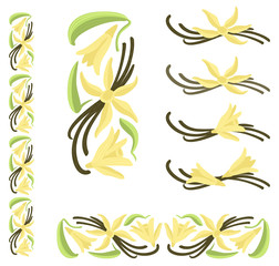 Vanilla dried pods with flowers and leaves. Multicolor decor elements.