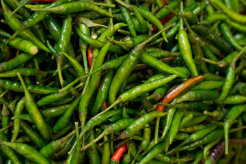 Pile of fresh chilli peppers.