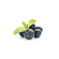fresh blueberries on white background.