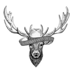 Deer Wild animal wearing sombrero Mexico Fiesta Mexican party illustration Wild west