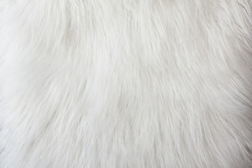 White long fur texture background
