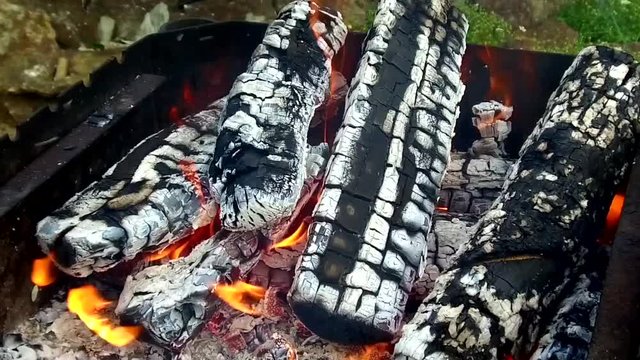 firewood burning in brazier outdoors
