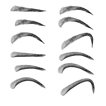 Set of Eyebrows In Different Shapes And Types