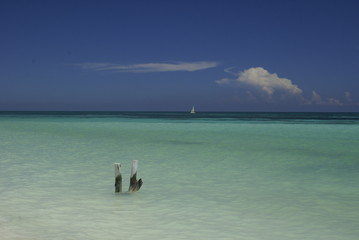 Mare cubano