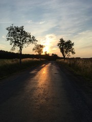 Fototapeta na wymiar country road in the sunset