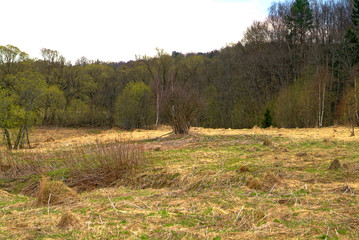on the site of an abandoned village in the spring in Russia