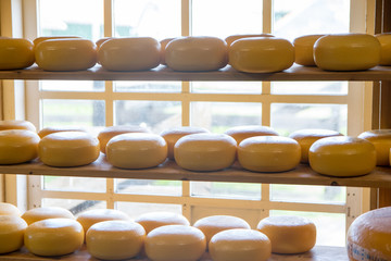 Stack of cheese in a store at Amsterdam, Netherlands