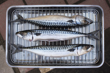 Fresh mackerel fish .
