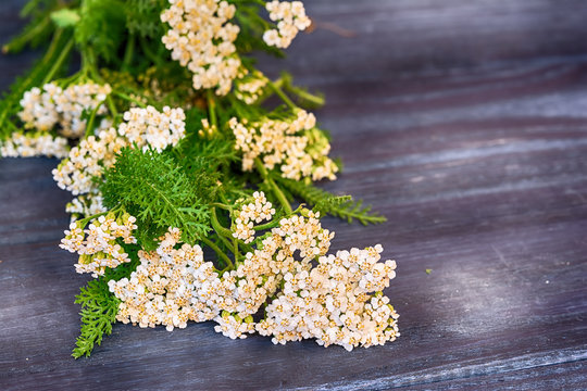 Yarrow flowers on wooden background.
