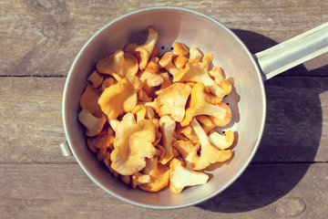 appetizing chanterelles for delicacy dish/  bunch of freshly picked and washed orange mushrooms, on the table top view