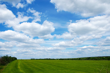 green field on a background clouds