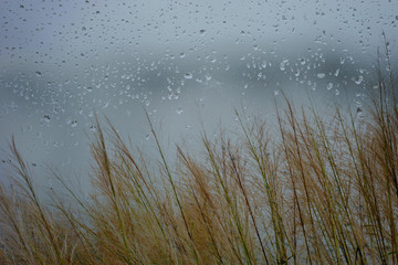 The rainy season is a farmer's farm season and is ideal for a relaxing holiday.
