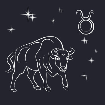 Sign of the zodiac Taurus is the starry sky