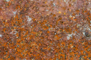 Rusty iron and the remnants of gray paint.