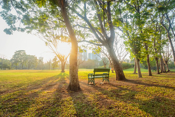 Morning, Beautiful park scene in public park with green grass field, Bankok, Thailand.