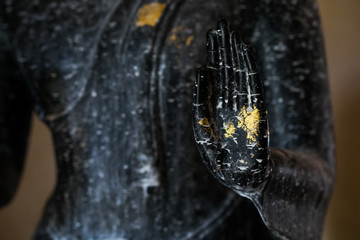 Black Hand of Buddha selective focus