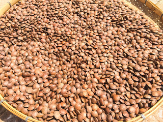 Roasted sacha inchi seeds