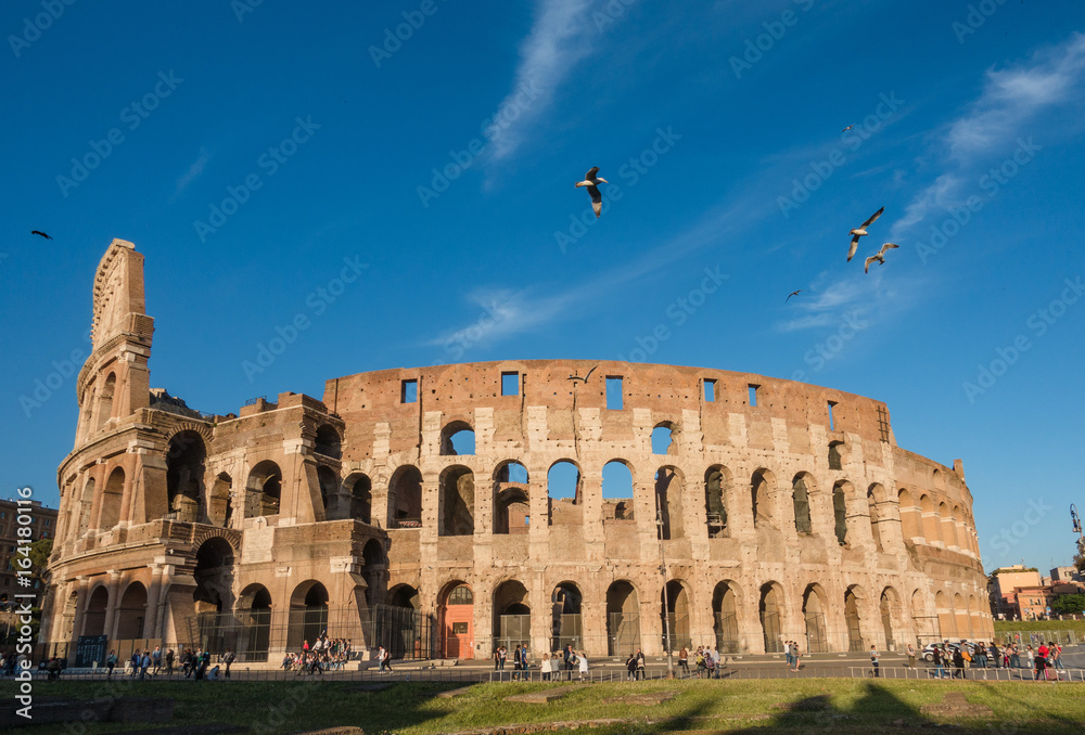 Wall mural The Colosseum and Palatine Hill - Amazing Rome, Italy