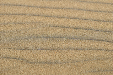 Fototapeta na wymiar Texture of sand in macro