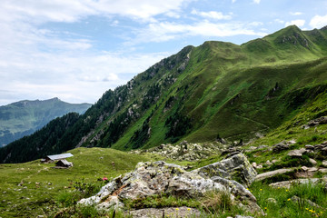 Fototapeta premium Tiroler Almlandschaft