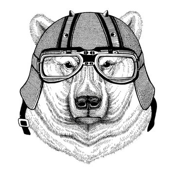 Polar bear wearing biker helmet Animal with motorcycle leather helmet Vintage helmet for bikers Aviator helmet