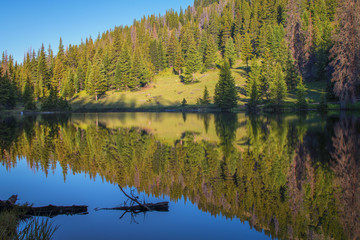 Reflection in lake 