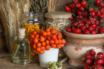 Medicinal plants and herbs composition: Berries of a viburnum, Dog rose hips; Flower petals of calendula, tansy and daisy. herbal Tea with, essential oil room for text  