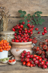 Medicinal plants and herbs composition: Berries of a viburnum, Dog rose hips; Flower petals of calendula, tansy and daisy. herbal Tea with, essential oil room for text  