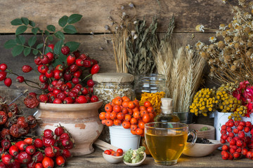 Medicinal plants and herbs composition: Berries of a viburnum, Dog rose hips; Flower petals of calendula, tansy and daisy. herbal Tea with, essential oil room for text  