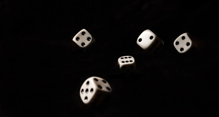 Roll the dice