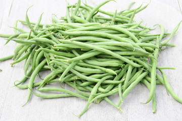 r&eacute;colte d'haricots verts du jardin bio,en &eacute;t&eacute;