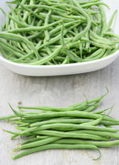 récolte d'haricots verts du jardin bio,en été