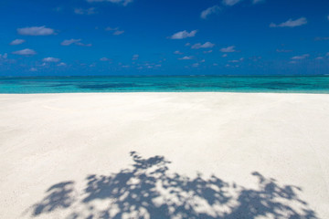 tropical beach in Maldives