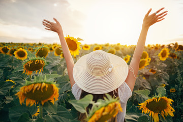 Young woman in the field of sunflowers with hands raised up