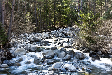 Mountain stream in the Bansko valley in Bulgaria 