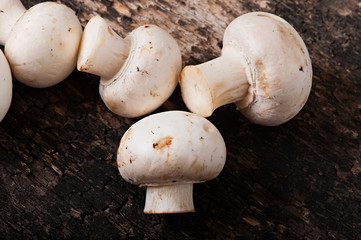 Mushrooms champignons on an old wooden background.