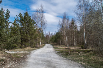 forest road