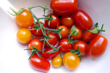 Fresh Tomatoes 