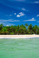 Obraz premium tropical beach in Maldives with few palm trees and blue lagoon